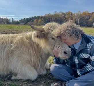 İneklerle Kucaklaşma, Düşen Süt Fiyatları Arasında Çiftliklere Destek Sağlıyor