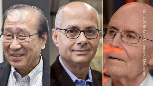 Kimya Nobel'i, 'Süper Sünger' Materyaller Geliştiren Bilim İnsanlarına Verildi
