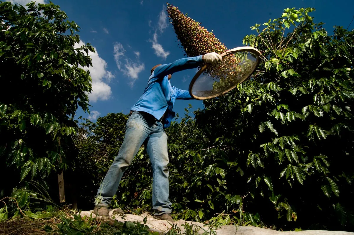 Kıtlık Çağı: İklim Değişikliği Gıda Geleceğini Tehdit Ediyor
