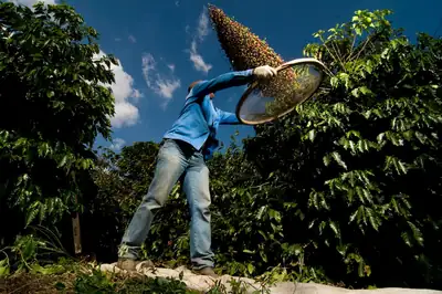 Kıtlık Çağı: İklim Değişikliği Gıda Geleceğini Tehdit Ediyor