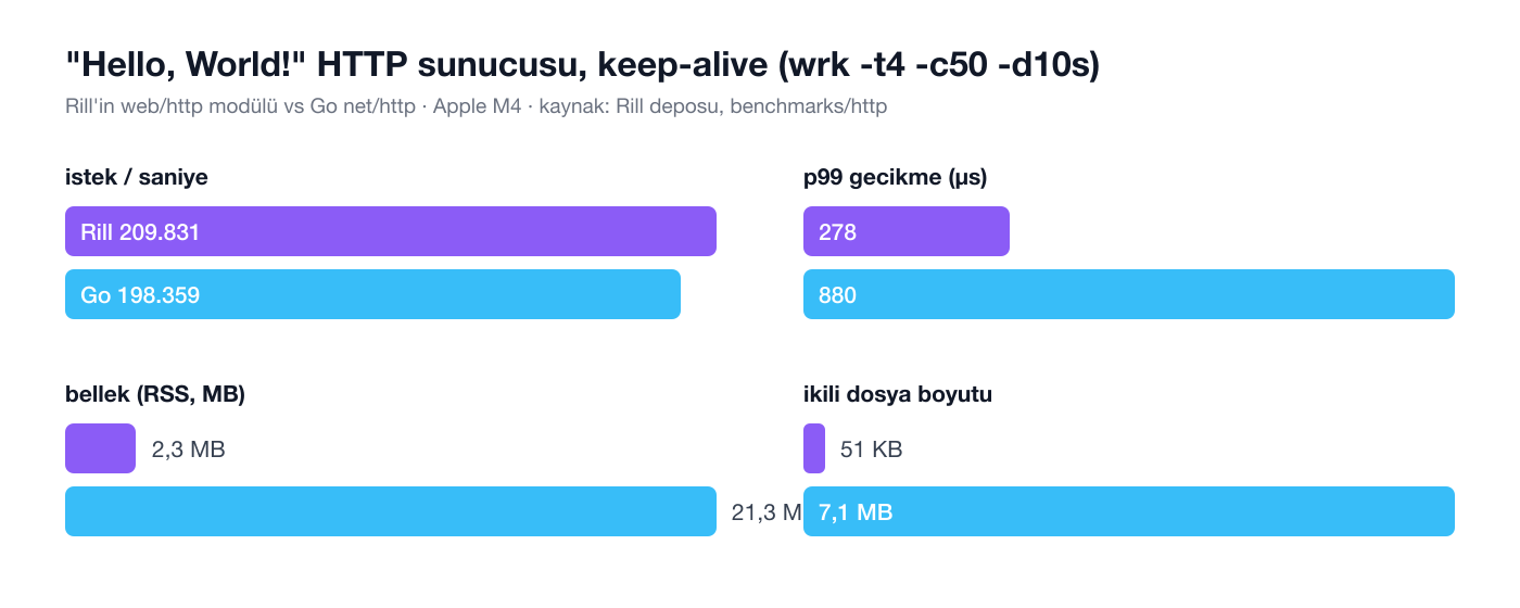 Rill ve Go HTTP sunucu karşılaştırması