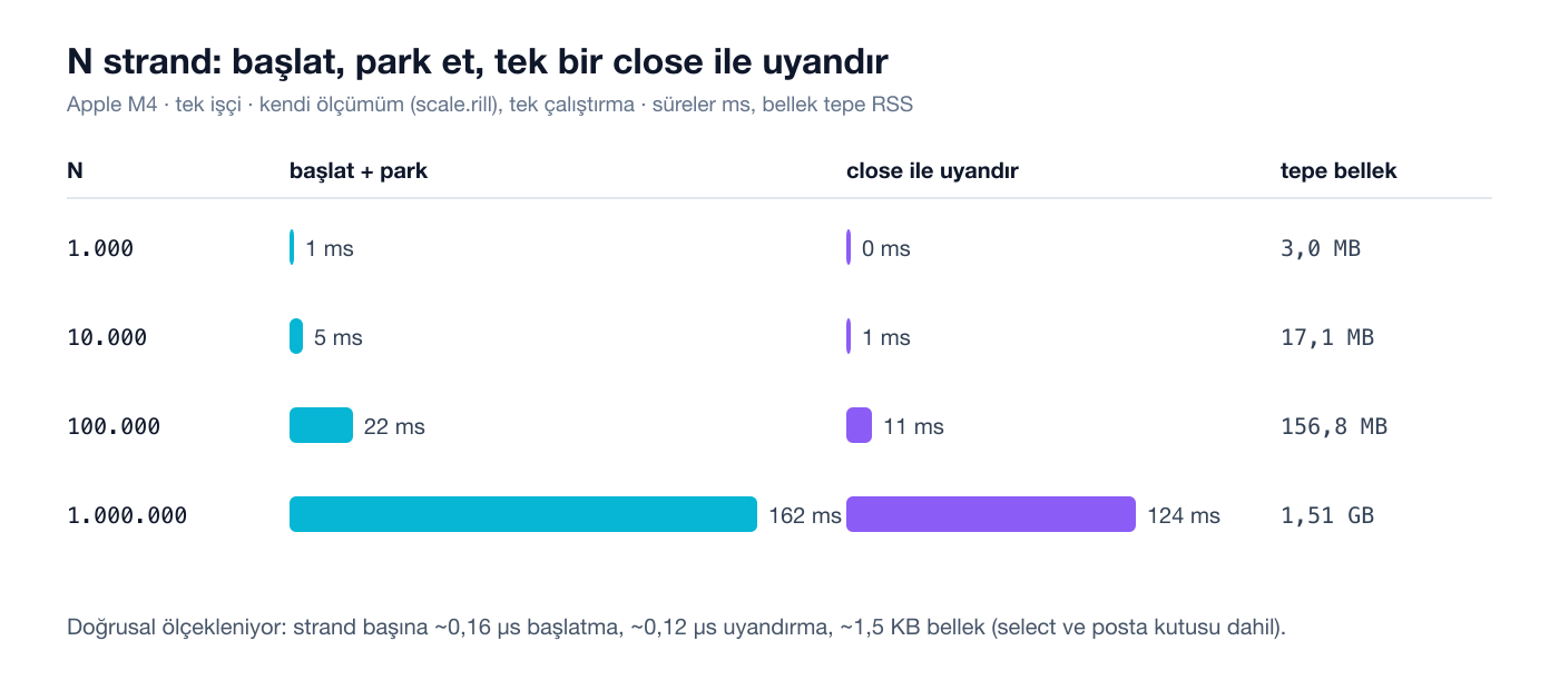 N strand ölçeklenmesi