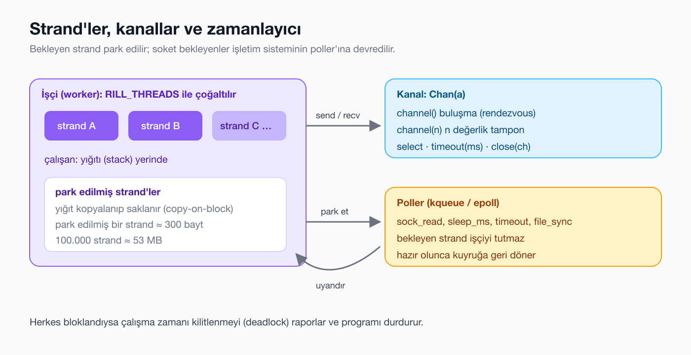Strand'ler, kanallar ve zamanlayıcı