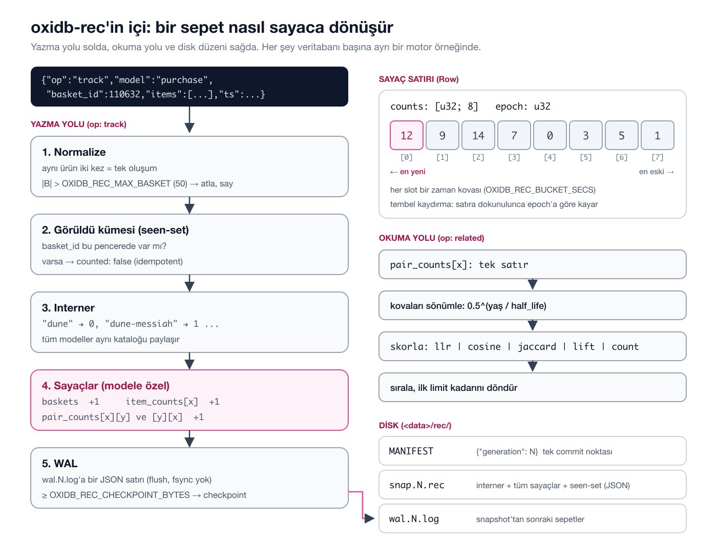 oxidb-rec mimarisi: yazma yolu, sayaç satırı, okuma yolu ve disk düzeni